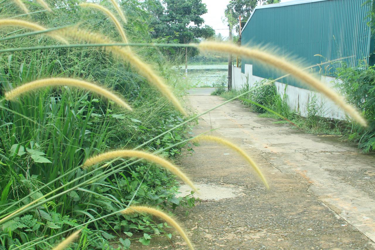 View Villa *